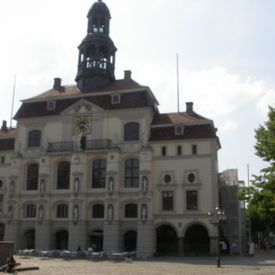 Lüneburger Rathaus von außen, Bekämpfung echten Hausschwamms