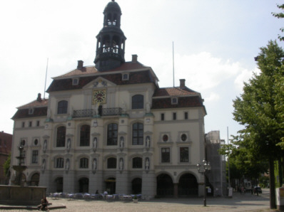 Lüneburger Rathaus von außen, Bekämpfung echten Hausschwamms