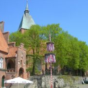 Kirche Mölln, Außen. Monitoring von Holzschädlingsbefall