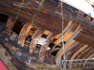 Schäden an Holzschiffen