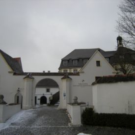 Tor des Schloss Oberstotzingen, Holztechnische Untersuchung