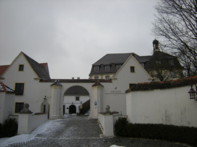 Tor des Schloss Oberstotzingen, Holztechnische Untersuchung