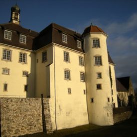 Schloss Oberstotzingen, Holztechnische Untersuchung